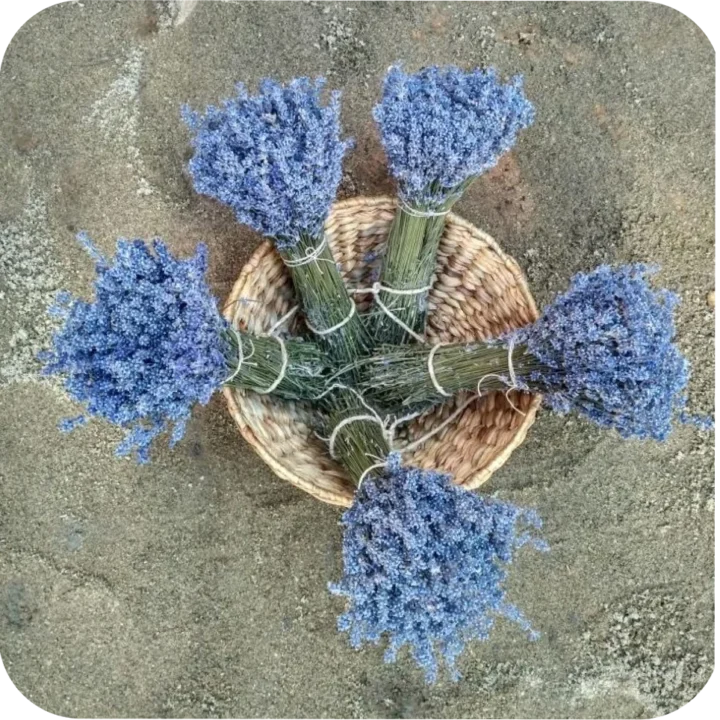 11c0f336-fb07-4b3e-b